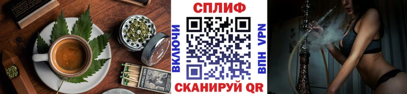 как найти закладки  Киселёвск  Cannafood конопля 