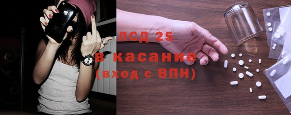 индика Алексин