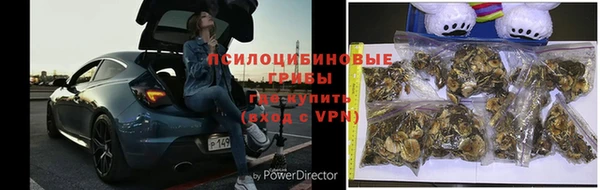 индика Алексин