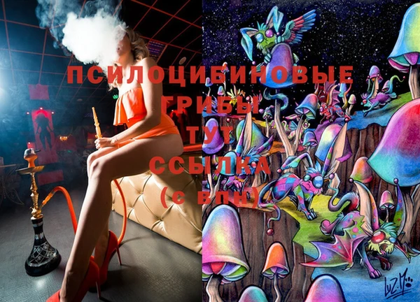 СК Алзамай