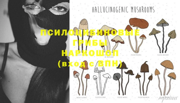 apvp Абинск